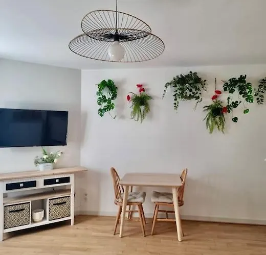 Studio Le Coquelicot